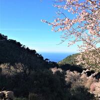 Villa Ambar Ceviz — 25