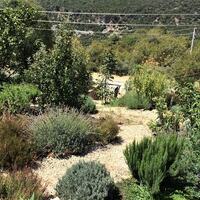 Villa Ambar Ceviz — 44