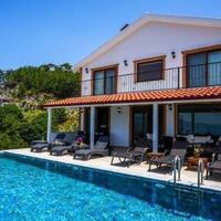 Villa Turtle Life — 1