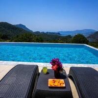 Villa Turtle Life — 2