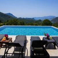 Villa Turtle Life — 5