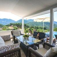 Villa Turtle Life — 7