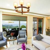 Villa Turtle Life — 12