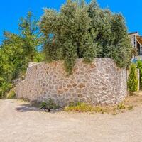 Villa Alara — 46