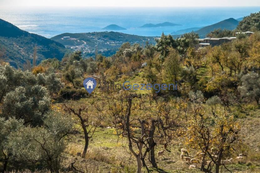 İslamlar Köyü Villa Kiralama