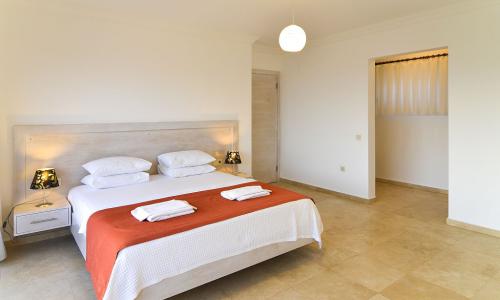 Villa Falcon Lodge — 29