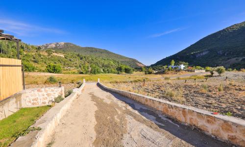 Villa Medis 3 — 3