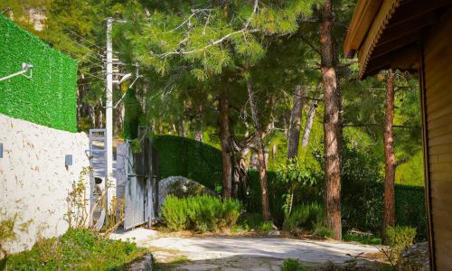 Villa Venüs İslamlar — 15