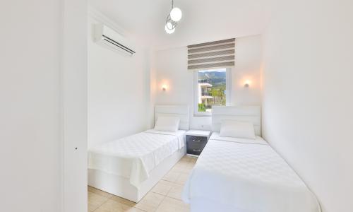 Villa Disney — 62
