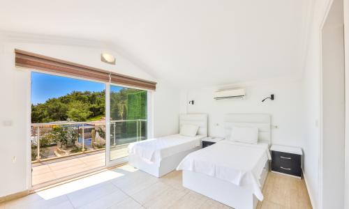 Villa Disney — 52