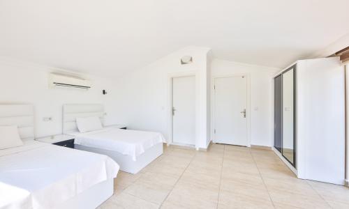 Villa Disney — 50