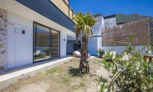 Villa Roze — 5