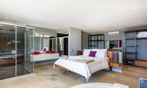 Villa Tigra — 41