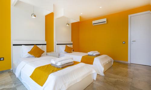 Villa Tigra — 47
