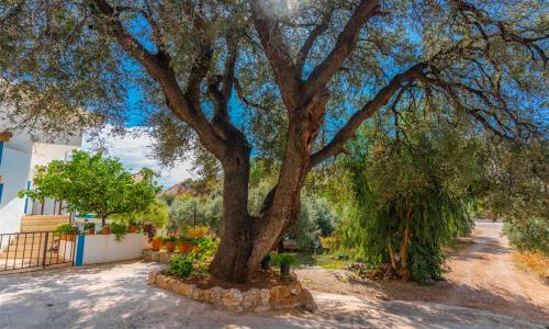 Villa Eski Halil — 8