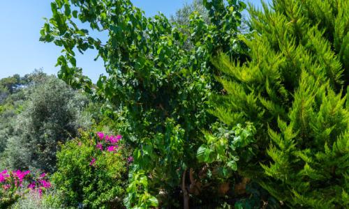 Villa Narin 9 — 24
