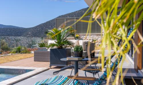 Villa Safran Flower — 21