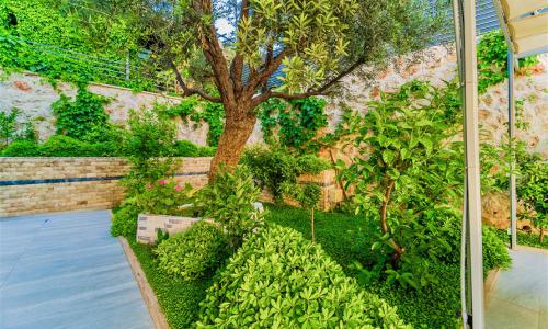 Villa July — 21