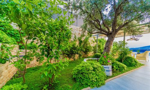 Villa July — 22