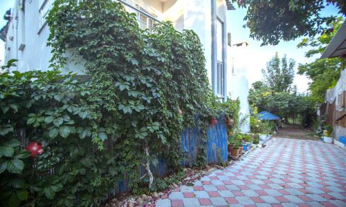 Villa Natural Çavdır — 31