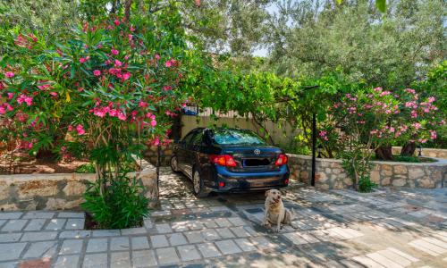 Villa Samyeli — 18