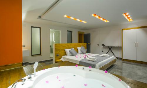 Villa Tarz — 32