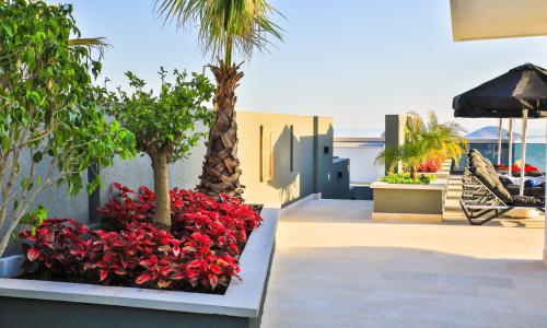 Villa Dreams — 38