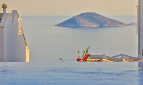 Villa Dreams — 12