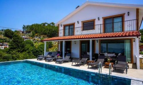 Villa Turtle Life — 1