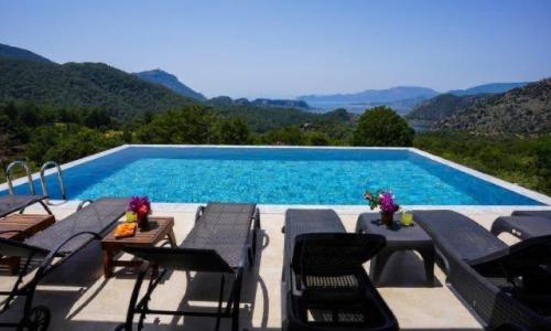 Villa Turtle Life — 5