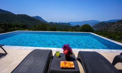 Villa Turtle Life — 2