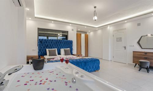 Villa Davidof — 77