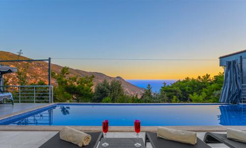 Villa Davidof — 39