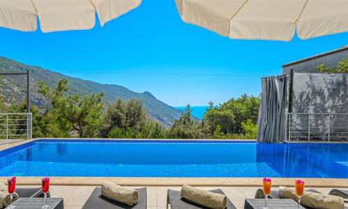 Villa Davidof — 14