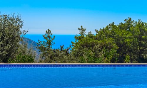 Villa Davidof — 16