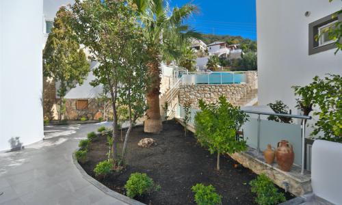 Villa Lotus — 27