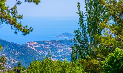 Villa Monolisa — 28