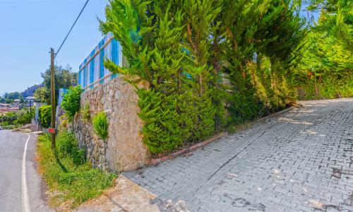 Villa Monolisa — 67
