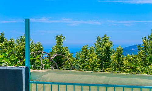 Villa Yeşil Vadi — 10