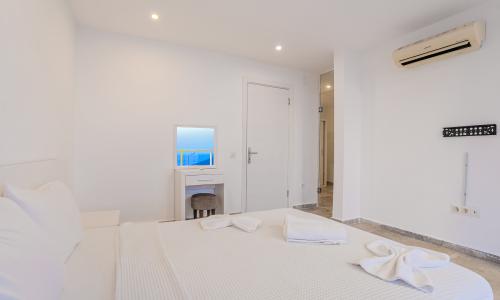 Villa Zeytouna — 80