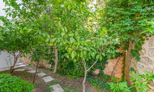 Villa Zeytouna — 34
