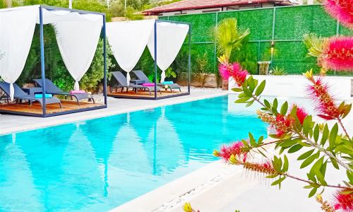 Villa Mamon Luxury Life — 7