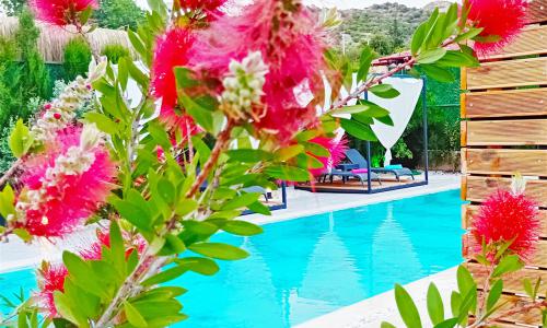 Villa Mamon Luxury Life — 9