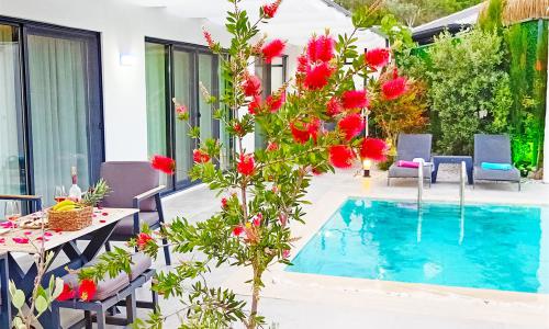 Villa Mamon Luxury Life — 10