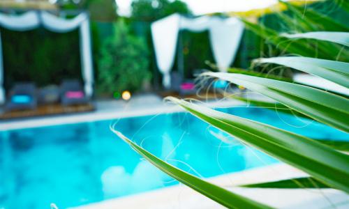 Villa Mamon Luxury Life — 21