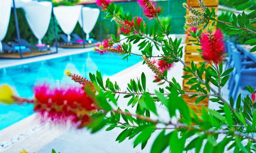 Villa Mamon Luxury Life — 32