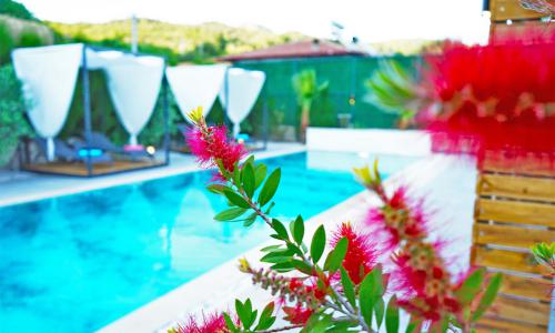 Villa Mamon Luxury Life — 23