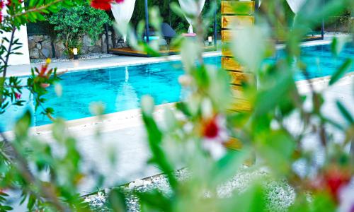 Villa Mamon Luxury Life — 156