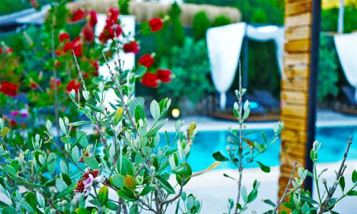 Villa Mamon Luxury Life — 157