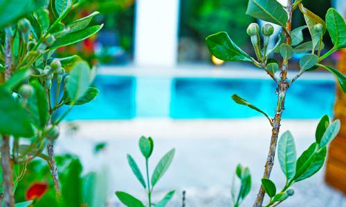 Villa Mamon Luxury Life — 169